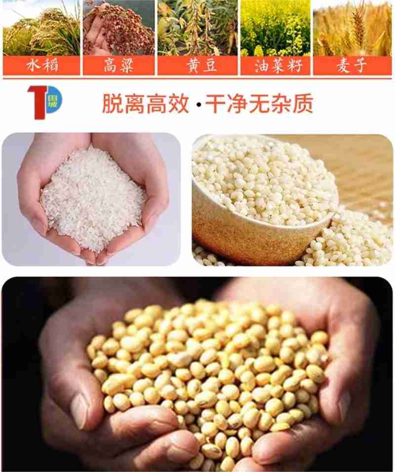 “拉萨春日书会”系列讲座亮点频出。(受访者供图)